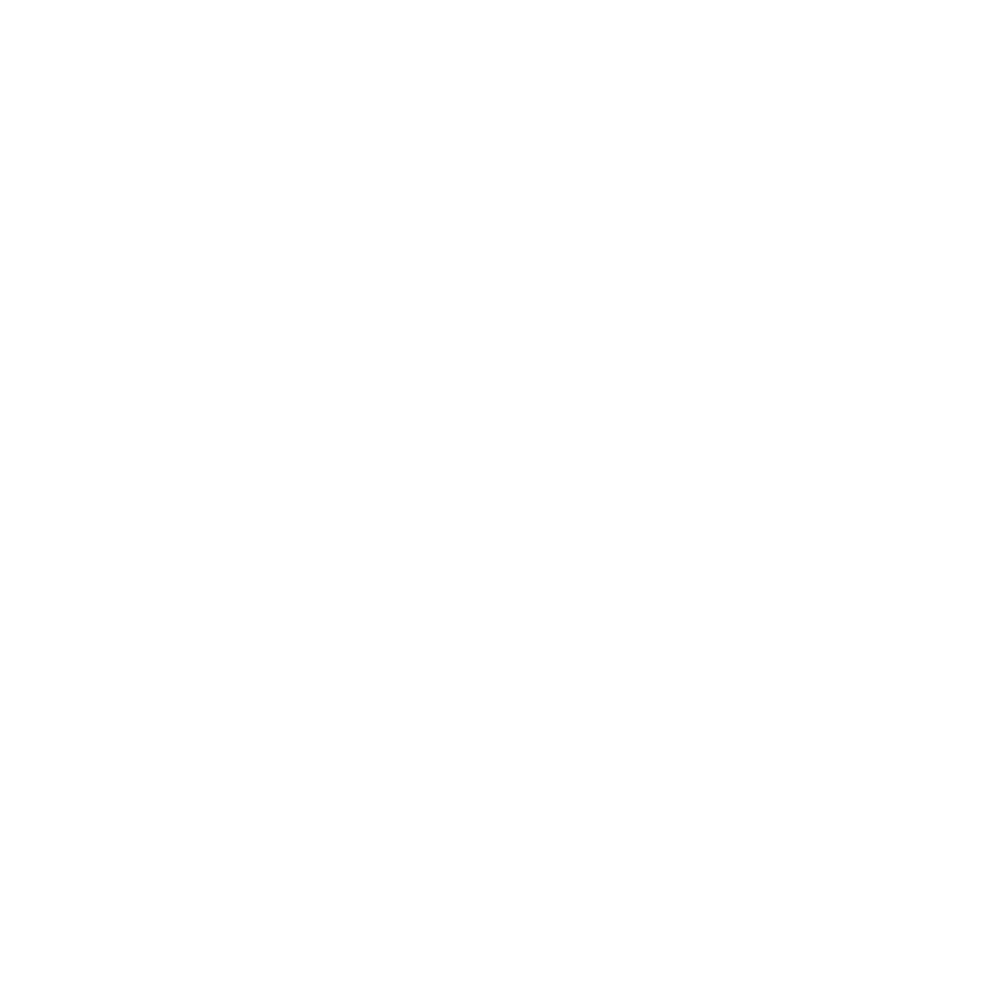 birds eye media favicon